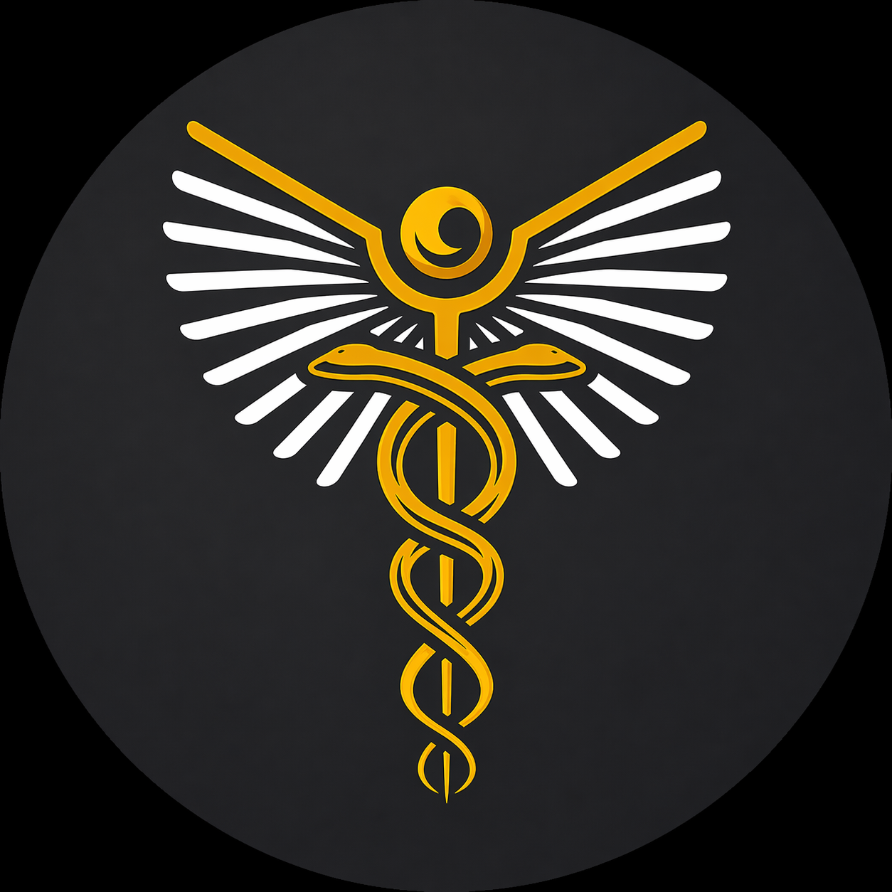 Wexford Health Solutions logo